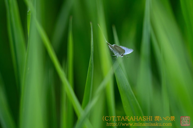 ../Images/7R250518 (187).jpg